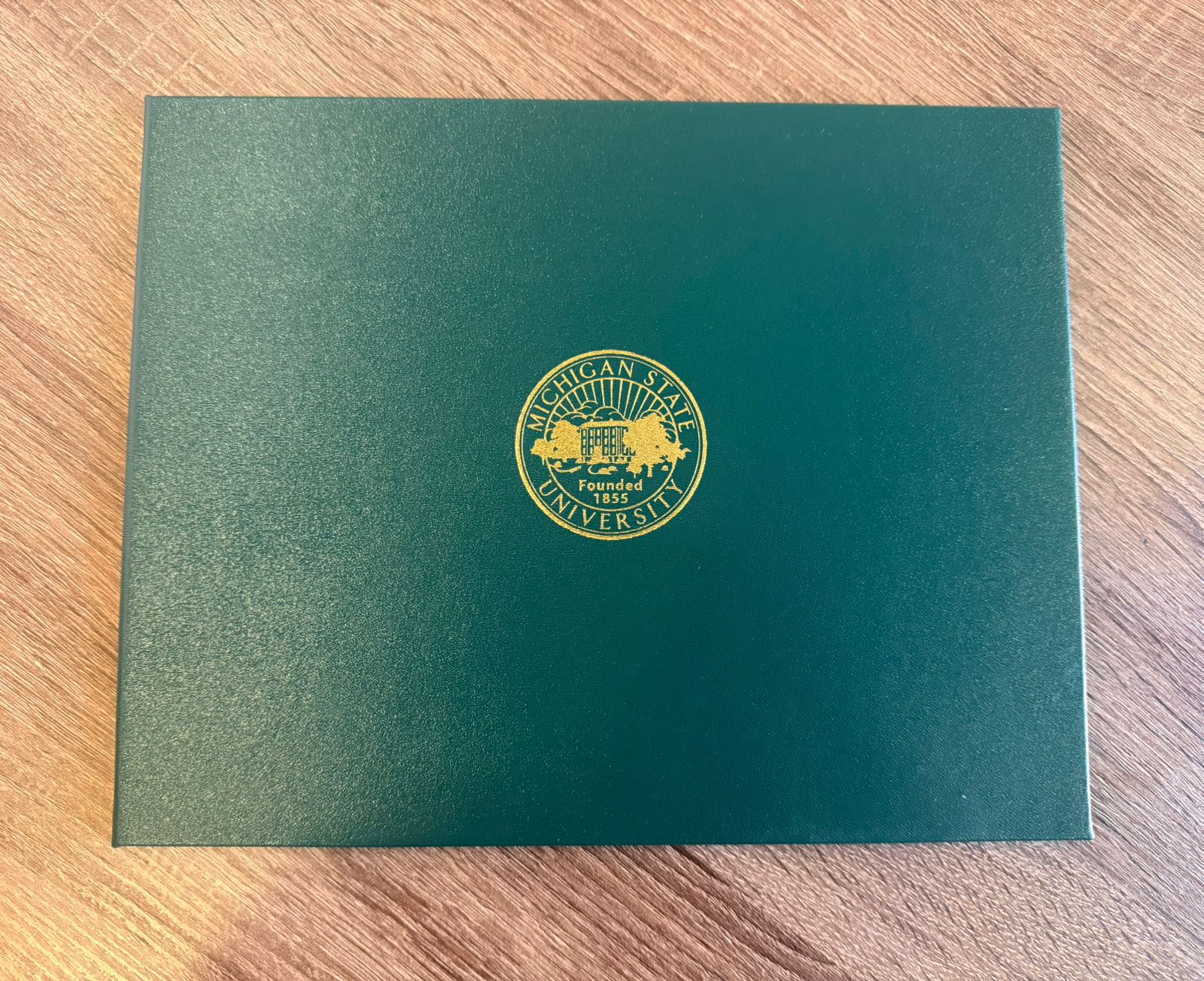 Michigan University